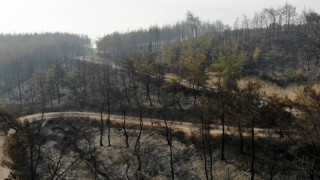 Osmaniye’deki orman yangınında yanan alanlar havadan görüntülendi