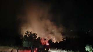 Soma’daki orman yangını kontrol altına alındı