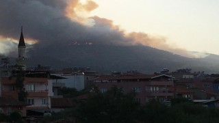 Aydın’da orman yangını
