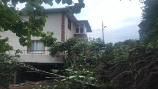 Artvin’de meydana gelen heyelan nedeniyle 6 kişinin yaşadığı 1 ev boşaltıldı
